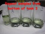 bottom samples - bad tank.JPG