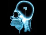 homer-simpson-wallpaper-brain-1024-full-756814.jpg