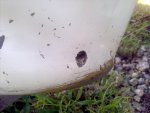 2012-06-14_18-41-11_469.jpg