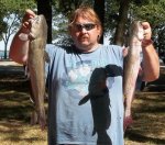 4.6 4.2 carlyle 2012.jpg