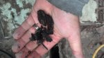 2013-07-20_10-13-48_929.jpg