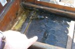 bilge rot small.JPG