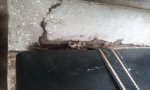 20160815_082027.jpg