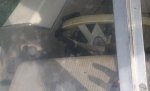 20160815_082409.jpg