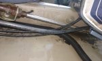 20160816_074029.jpg