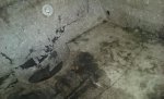 20160816_074200.jpg