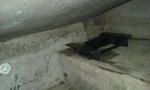 20160816_074152.jpg
