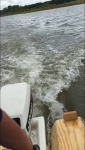 photo250786.png