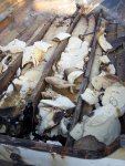 rotten stringers and foam.JPG