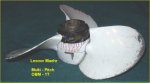 Evinrude Variable Pitch Prop.jpg