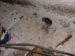 DRAIN1.JPG