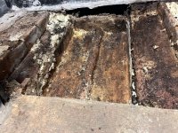 tear out IMG_2567.jpg