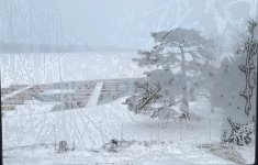 out the window 012326.jpg