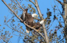 IMG_7785.jpeg