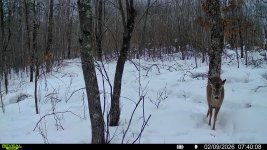 016578002990494-100-4-02092026074008-SYFW00351 (1).jpg