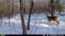 016578002990494-100-4-01282026145234-SYFW00185 (2).jpg