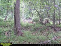 IMG_8153.jpeg
