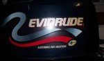 Evinrude _ Fuel Injected.jpg