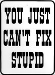 FixStupid.jpg