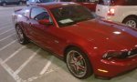 Mustang.JPG