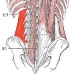 Quadratus-lumborum-stretch.jpg
