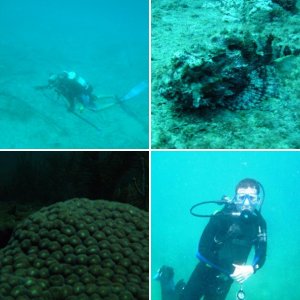 SCUBA Diving in South Florida !!