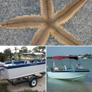 1979 Holiday V-5 18' W 90 Johnson