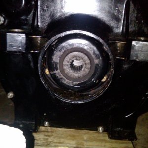 IMG00299 20100411 2134