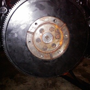 IMG00298 20100411 2100