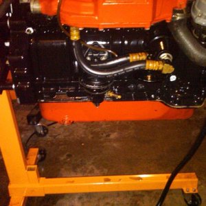 IMG00290 20100411 0201