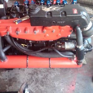 IMG00309 20100412 1304