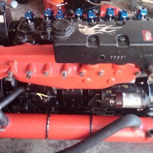 IMG00308 20100412 1246