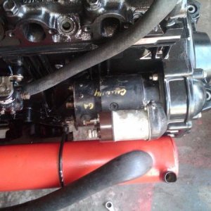 IMG00307 20100412 1240