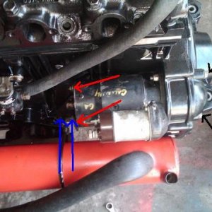 IMG00307 20100412 1240