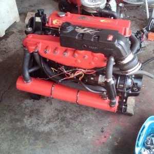 IMG00313 20100414 1454