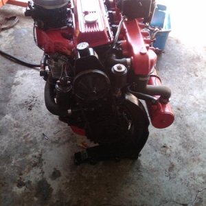 IMG00312 20100414 1454