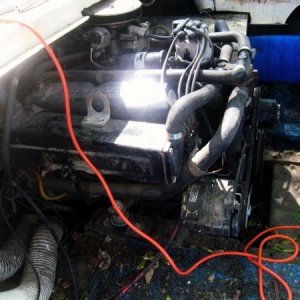 Mercruiser aka Ford 302 either way 188 hp woo hoo!