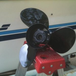 Prop after it came back from the prop shop.