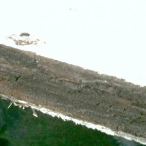 this piece is in gel coat on the back of the boat,  the wood is rotten.