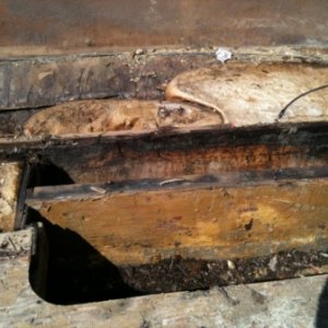under floor, all is rotten, foam is bad.  looks like I get to learn how to make, install, and finish stringers and risers.  With this much rot I will 