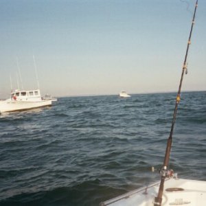 My Pictures0003
My Pictures0002
My Pictures0001