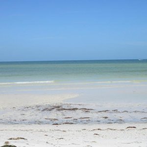 Scenery at anlecote island.