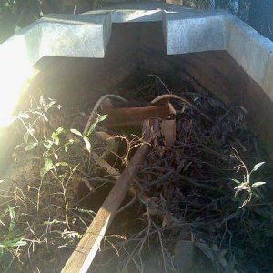 Boat Fill of water and branches..
has been sitting on property for 10 years.