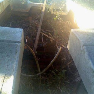 top cover came with moulded seats.