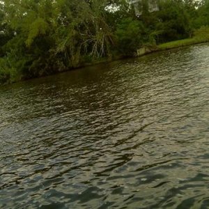 redneck beach house, yeah that's a trailer house 40ft in the air.. Why?
