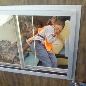 Trevor crashed in the cabin