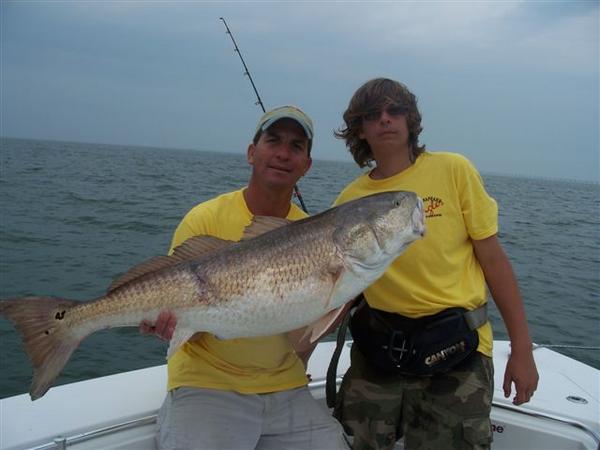 36lb, 44'' Red Drum