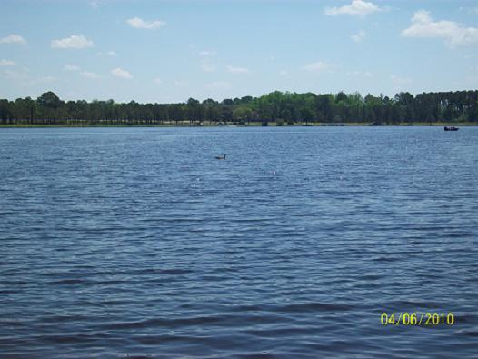 Beautiful day on the lake.