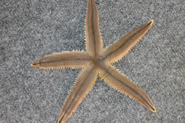 Copy of 1979 Boat 051