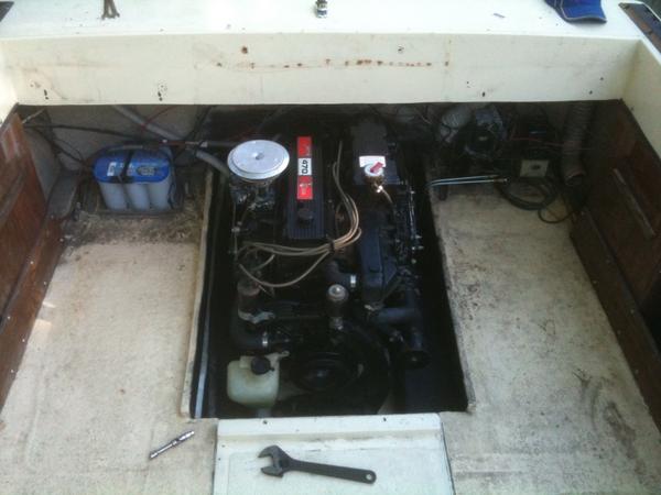 Engine in and looks great.